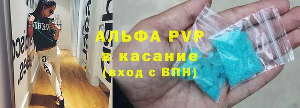 прущие грибы Белокуриха