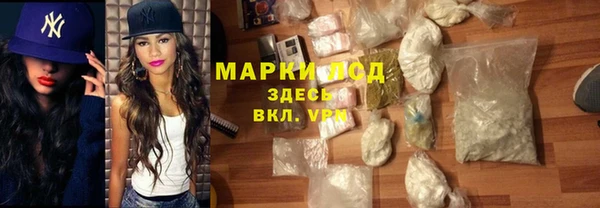прущие грибы Белокуриха