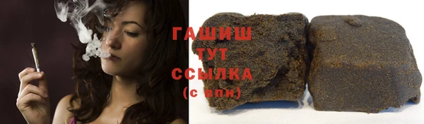 прущие грибы Белокуриха