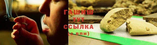 прущие грибы Белокуриха