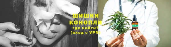 прущие грибы Белокуриха