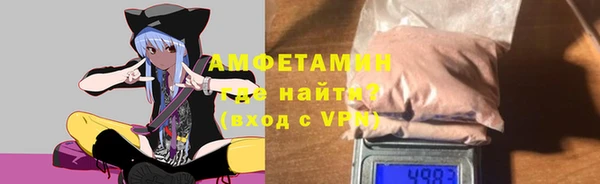 прущие грибы Белокуриха