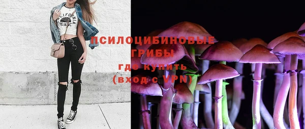 MDMA Тайга