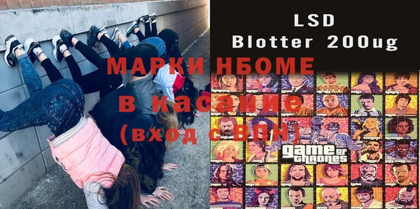 прущие грибы Белокуриха